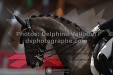 ref. photo 3502109