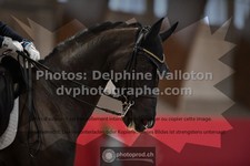ref. photo 3502110