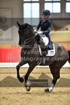 ref. photo 3502118