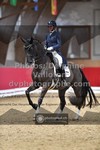 ref. photo 3502129