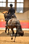 ref. photo 3502130