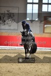 ref. photo 3502132