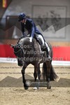 ref. photo 3502135