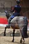ref. photo 3502144