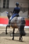 ref. photo 3502145
