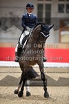 ref. photo 3502156
