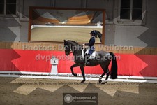 ref. photo 3502163