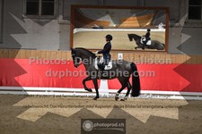 ref. photo 3502165