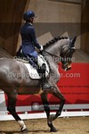 ref. photo 3502197