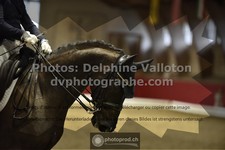 ref. photo 3502236