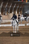 ref. photo 3502298