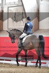 ref. photo 3502312