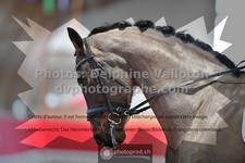 ref. photo 3502325