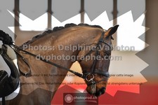 ref. photo 3502326
