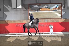 ref. photo 3502327