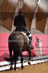 ref. photo 3502362