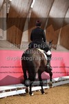 ref. photo 3502363