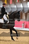 ref. photo 3502384
