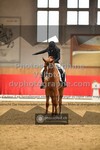 ref. photo 3502525