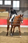 ref. photo 3502531