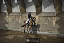 ref. photo 3502535