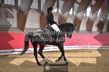 ref. photo 3502569