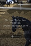 ref. photo 3502622