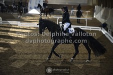 ref. photo 3502637