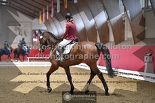 ref. photo 3503042