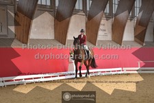 ref. photo 3503051