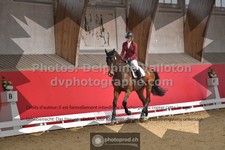 ref. photo 3503058