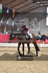 ref. photo 3503071