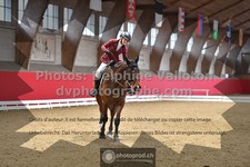 ref. photo 3503073
