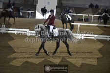 ref. photo 3503077