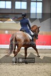 ref. photo 3503092