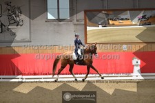 ref. photo 3503101