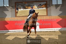 ref. photo 3503104