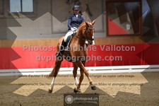 ref. photo 3503105