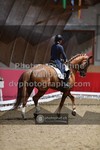 ref. photo 3503107