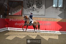 ref. photo 3503112