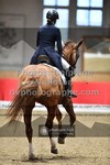ref. photo 3503114