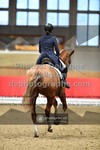 ref. photo 3503115