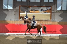 ref. photo 3503116