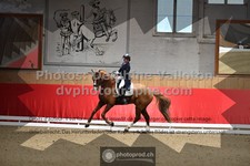 ref. photo 3503117
