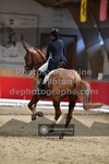 ref. photo 3503122