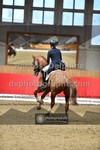 ref. photo 3503123