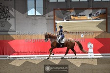ref. photo 3503128