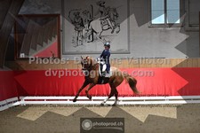 ref. photo 3503129
