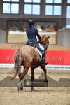 ref. photo 3503133