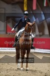 ref. photo 3503137